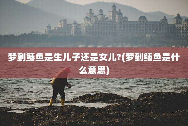 梦到鳝鱼是生儿子还是女儿?(梦到鳝鱼是什么意思)