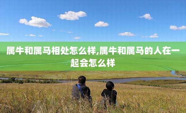 属牛和属马相处怎么样,属牛和属马的人在一起会怎么样