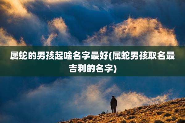 属蛇的男孩起啥名字最好(属蛇男孩取名最吉利的名字)