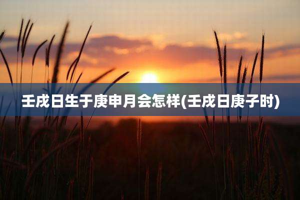 壬戌日生于庚申月会怎样(壬戌日庚子时)