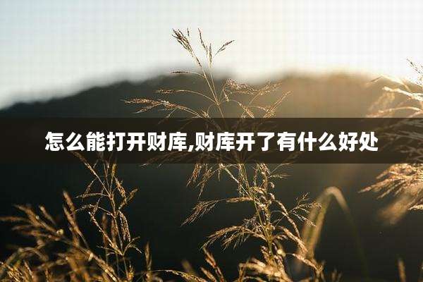 怎么能打开财库,财库开了有什么好处