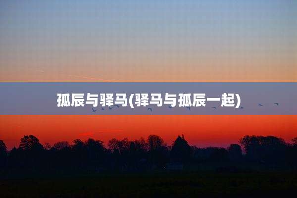 孤辰与驿马(驿马与孤辰一起)