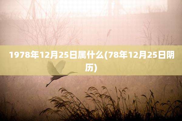 1978年12月25日属什么(78年12月25日阴历)