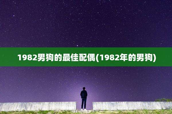 1982男狗的最佳配偶(1982年的男狗)