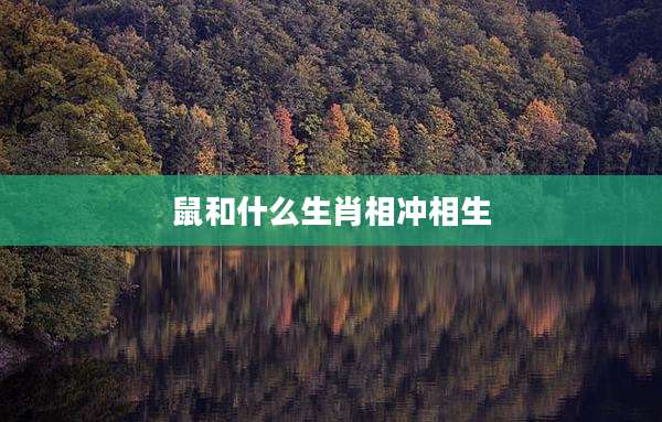 鼠和什么生肖相冲相生