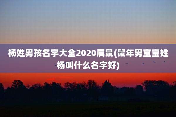 杨姓男孩名字大全2020属鼠(鼠年男宝宝姓杨叫什么名字好)