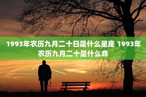 1993年农历九月二十日是什么星座 1993年农历九月二十是什么命