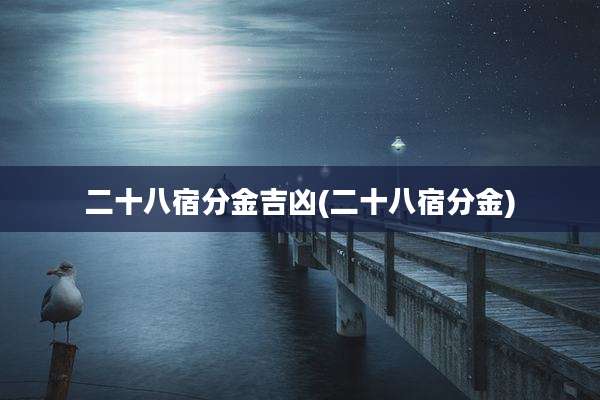 二十八宿分金吉凶(二十八宿分金)