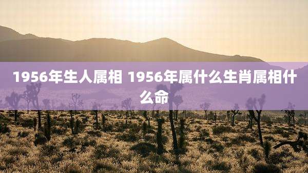 1956年生人属相 1956年属什么生肖属相什么命