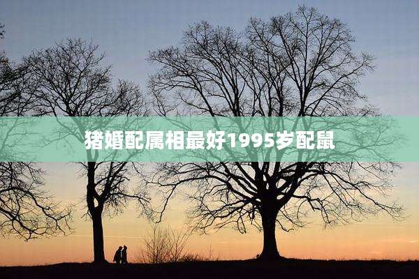 猪婚配属相最好1995岁配鼠