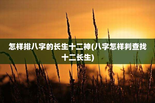 怎样排八字的长生十二神(八字怎样判查找十二长生)