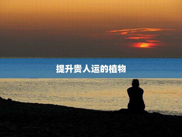 提升贵人运的植物