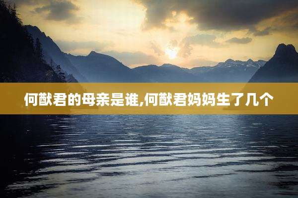 何猷君的母亲是谁,何猷君妈妈生了几个