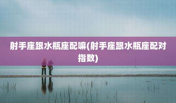 射手座跟水瓶座配嘛(射手座跟水瓶座配对指数)