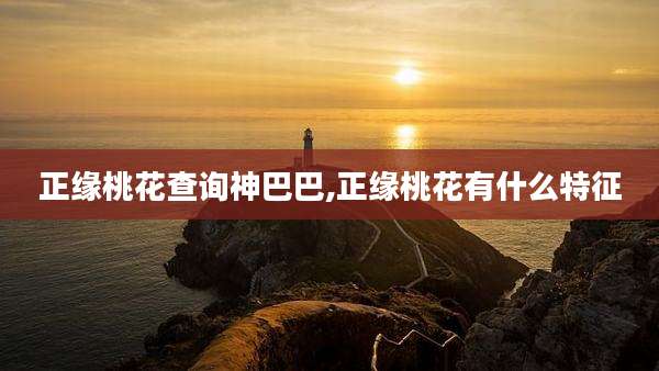 正缘桃花查询神巴巴,正缘桃花有什么特征