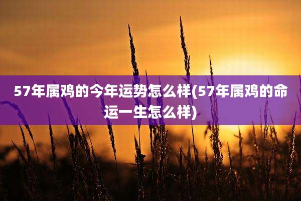57年属鸡的今年运势怎么样(57年属鸡的命运一生怎么样)