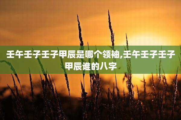 壬午壬子壬子甲辰是哪个领袖,壬午壬子壬子甲辰谁的八字