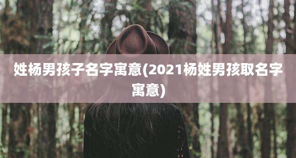 姓杨男孩子名字寓意(2021杨姓男孩取名字寓意)