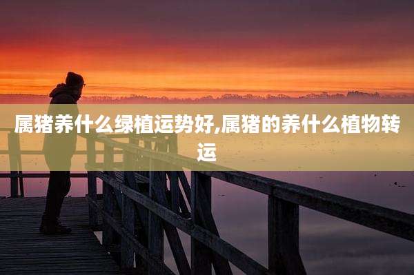 属猪养什么绿植运势好,属猪的养什么植物转运