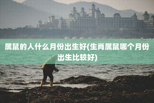 属鼠的人什么月份出生好(生肖属鼠哪个月份出生比较好)
