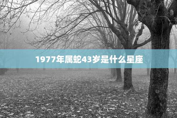 1977年属蛇43岁是什么星座