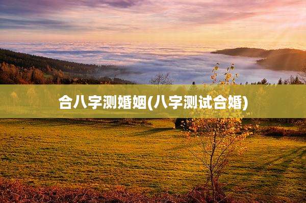 合八字测婚姻(八字测试合婚)