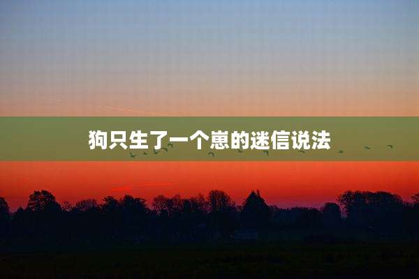 狗只生了一个崽的迷信说法