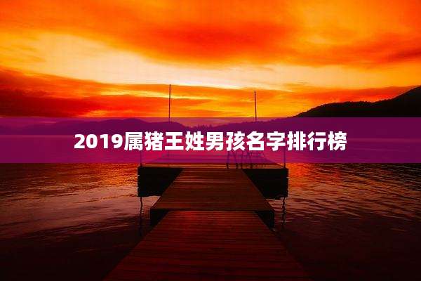 2019属猪王姓男孩名字排行榜