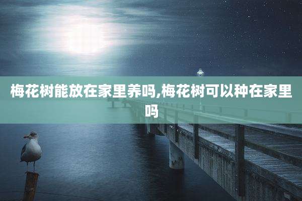 梅花树能放在家里养吗,梅花树可以种在家里吗