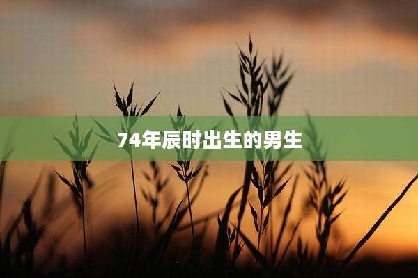 74年辰时出生的男生