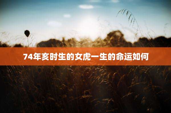 74年亥时生的女虎一生的命运如何