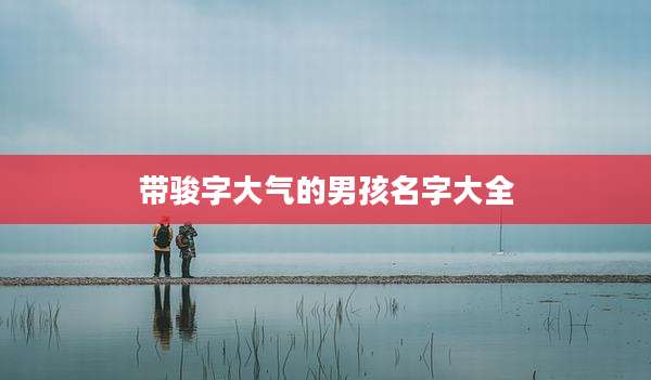 带骏字大气的男孩名字大全