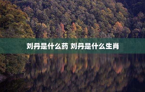 刘丹是什么药 刘丹是什么生肖