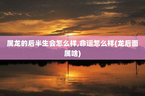 属龙的后半生会怎么样,命运怎么样(龙后面属啥)