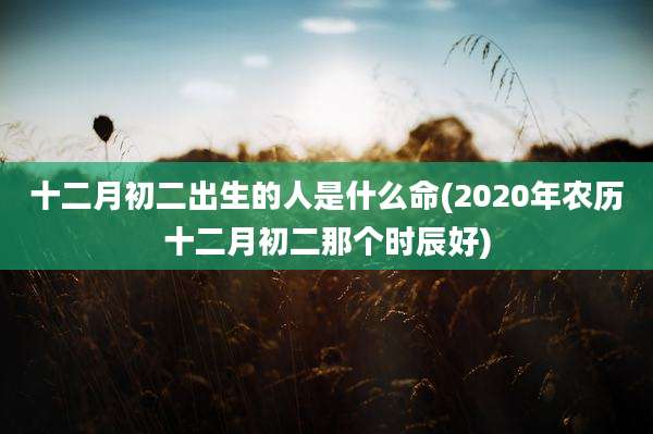 十二月初二出生的人是什么命(2020年农历十二月初二那个时辰好)