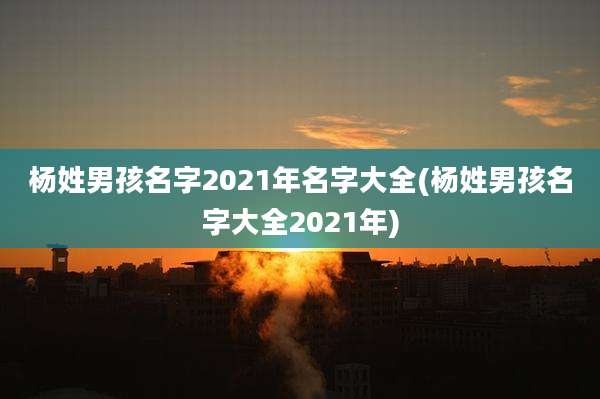 杨姓男孩名字2021年名字大全(杨姓男孩名字大全2021年)
