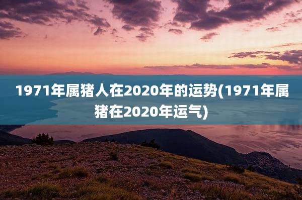 1971年属猪人在2020年的运势(1971年属猪在2020年运气)