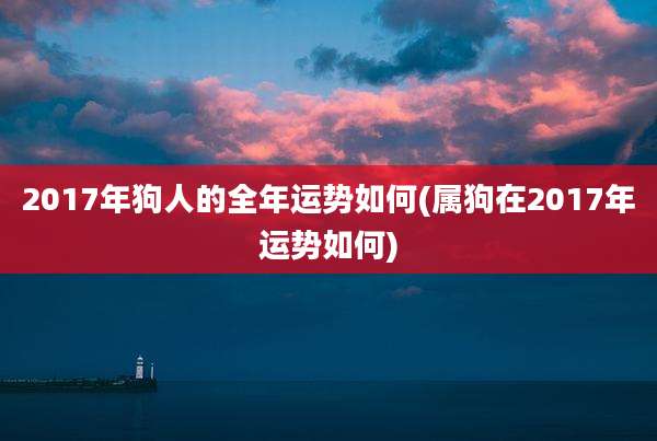 2017年狗人的全年运势如何(属狗在2017年运势如何)
