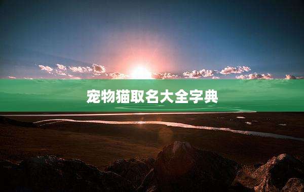 宠物猫取名大全字典