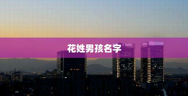 花姓男孩名字