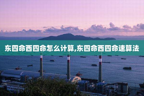 东四命西四命怎么计算,东四命西四命速算法