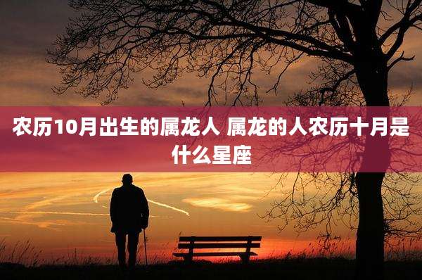 农历10月出生的属龙人 属龙的人农历十月是什么星座