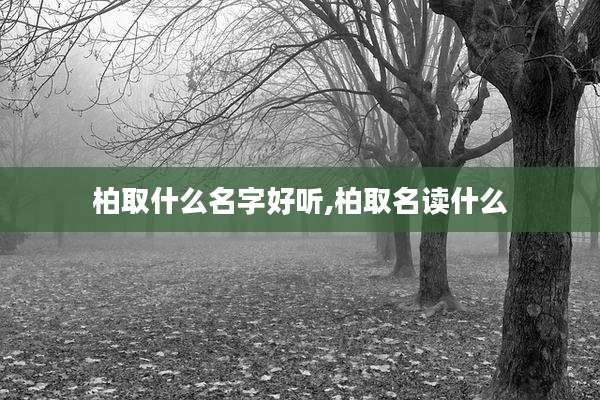 柏取什么名字好听,柏取名读什么