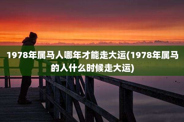 1978年属马人哪年才能走大运(1978年属马的人什么时候走大运)