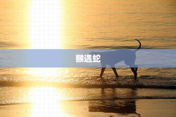 猴遇蛇