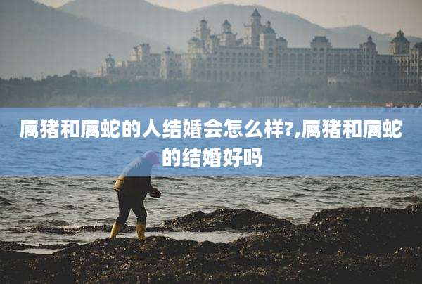 属猪和属蛇的人结婚会怎么样?,属猪和属蛇的结婚好吗