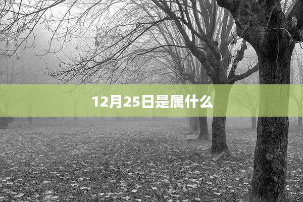 12月25日是属什么