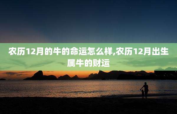 农历12月的牛的命运怎么样,农历12月出生属牛的财运