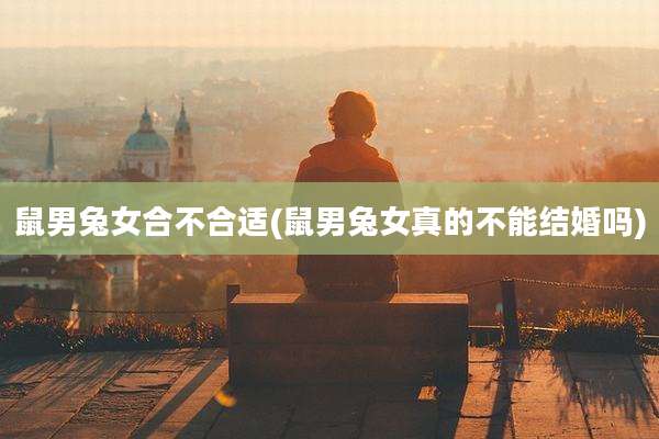 鼠男兔女合不合适(鼠男兔女真的不能结婚吗)