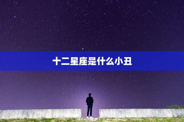 十二星座是什么小丑